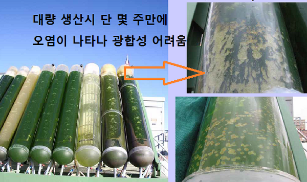 천운 이미지